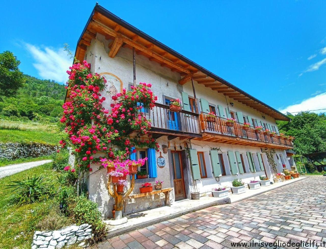 Casa Nella Natura Il Risveglio Degli Elfi 페다베나 외부 사진